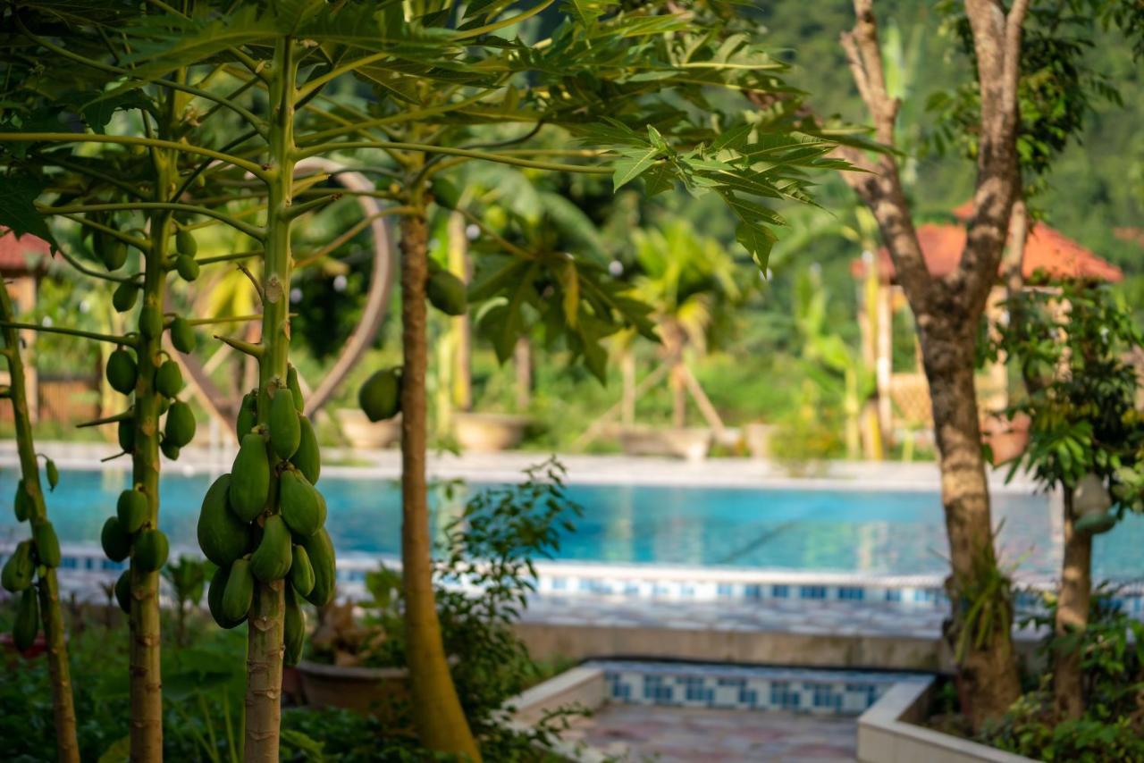 Tan Dinh Farmstay Ниньбинь Экстерьер фото